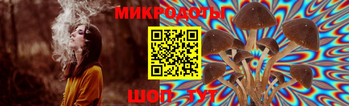 Псилоцибиновые грибы Cubensis  Вход с VPN  Псилоцибиновые грибы мухоморы  Волгоград 