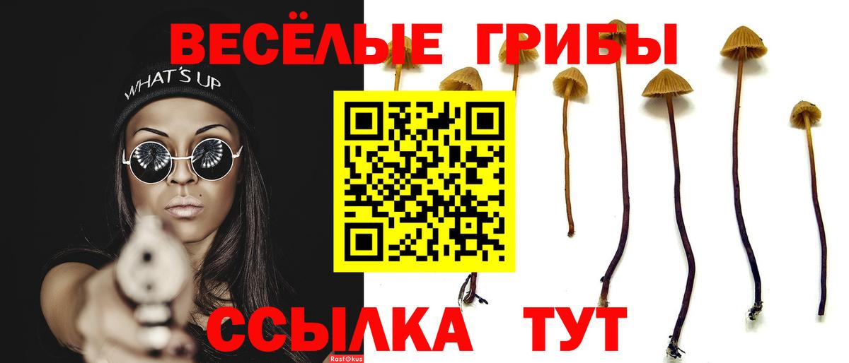 Галлюциногенные грибы ЛСД Волгоград